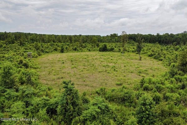 63.75 AC Amite County, MS Hunting Property