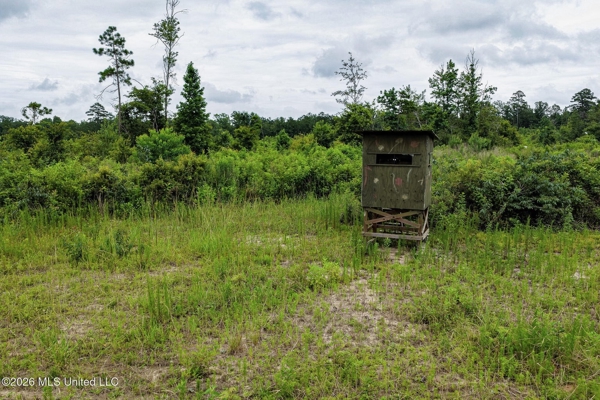 63.75 AC Amite County, MS Hunting Property
