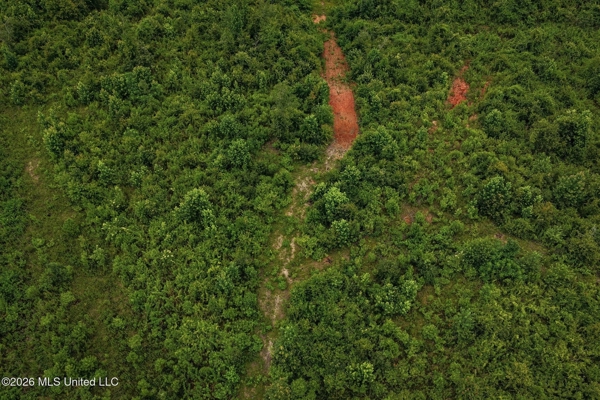 63.75 AC Amite County, MS Hunting Property