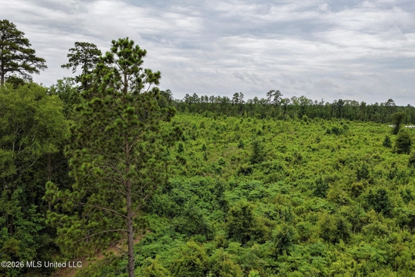 63.75 AC Amite County, MS Hunting Property