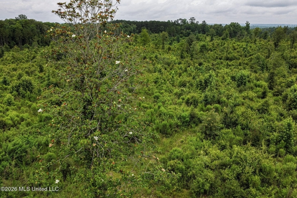 63.75 AC Amite County, MS Hunting Property