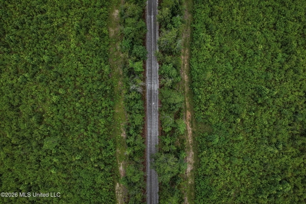 63.75 AC Amite County, MS Hunting Property