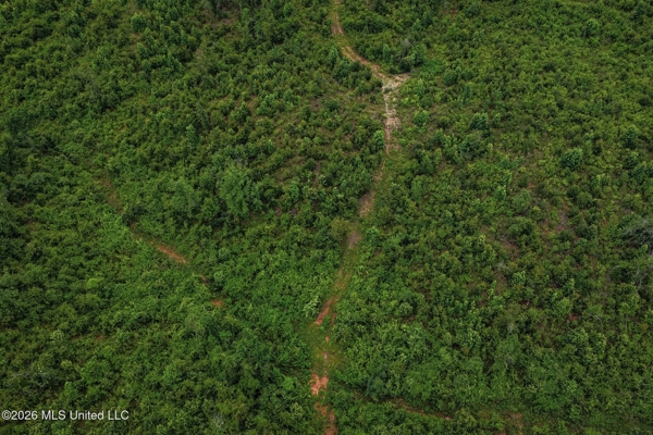 63.75 AC Amite County, MS Hunting Property
