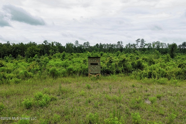 63.75 AC Amite County, MS Hunting Property