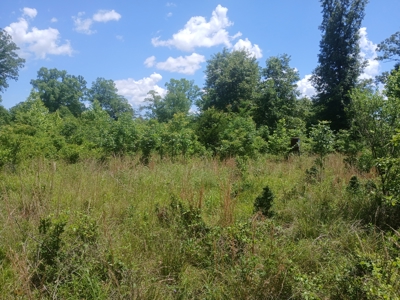 34 Acres of Premier Whitetail Hunting in SE Oklahoma - image 36