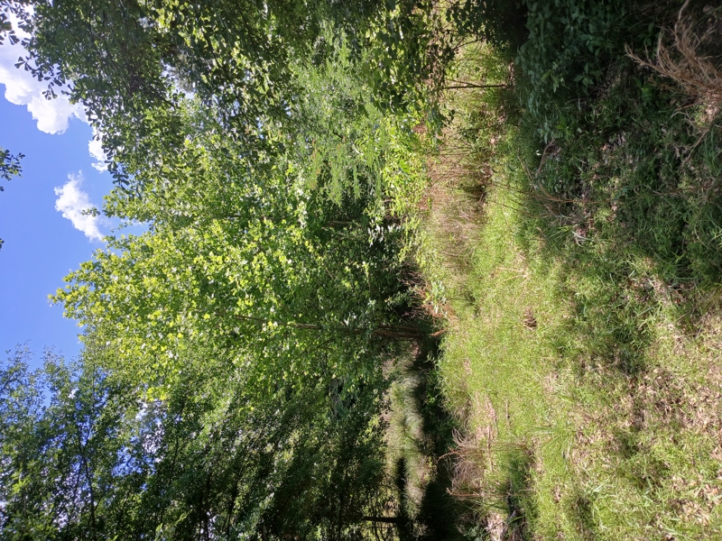 No Caption