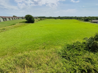 Premier Commercial Property | 8± Acres | FM 1189 Brock TX - image 11
