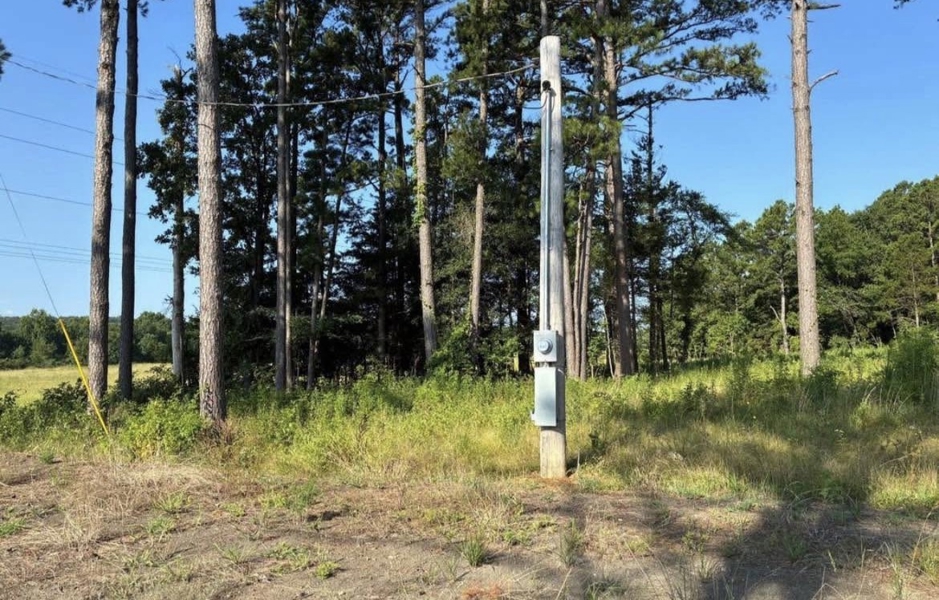 No Caption