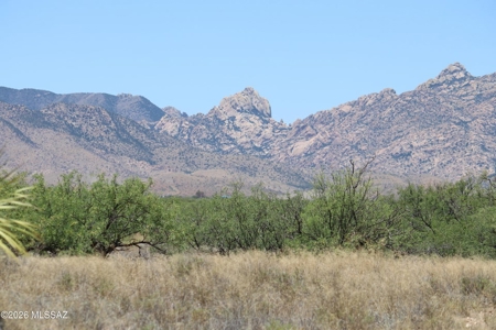 Over two acres near Cochise Stronghold in Southeast Arizona - image 2