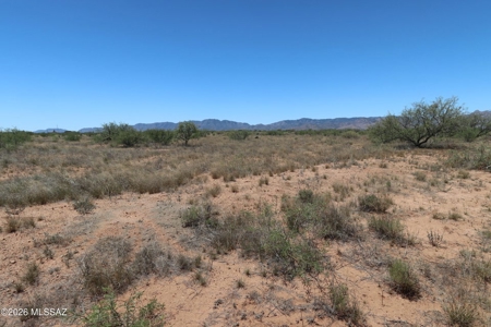 Over two acres near Cochise Stronghold in Southeast Arizona - image 3