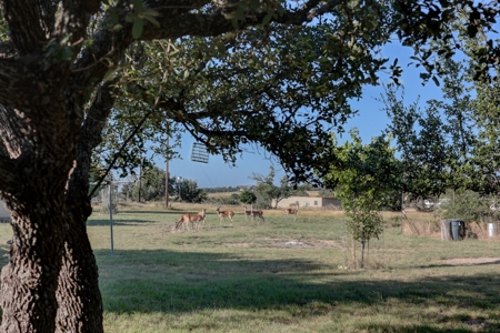 3/2 Brick home on Acreage in Harper TX! - image 18