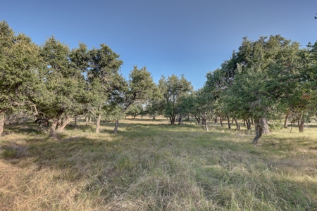 3/2 Brick home on Acreage in Harper TX! - image 25