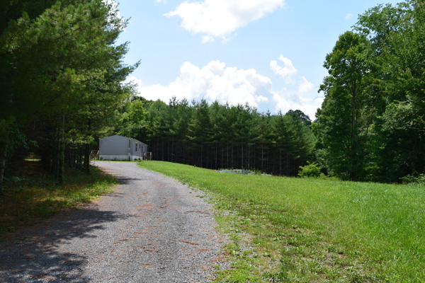 Land for Sale in Willis, Virginia