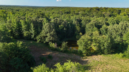 ± 40 Acres Winnsboro - Wood County East Texas Hunt, Build, Farm - image 5