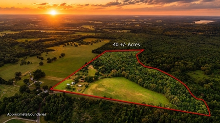± 40 Acres Winnsboro - Wood County East Texas Hunt, Build, Farm - image 1