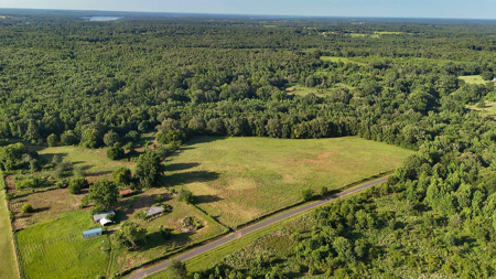 ± 40 Acres Winnsboro - Wood County East Texas Hunt, Build, Farm - image 2