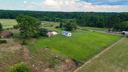 ± 40 Acres Winnsboro - Wood County East Texas Hunt, Build, Farm - image 19