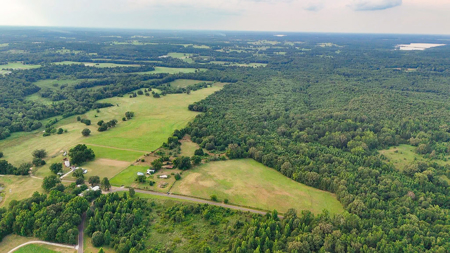 ± 40 Acres Winnsboro - Wood County East Texas Hunt, Build, Farm - image 15