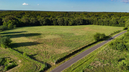 ± 40 Acres Winnsboro - Wood County East Texas Hunt, Build, Farm - image 10