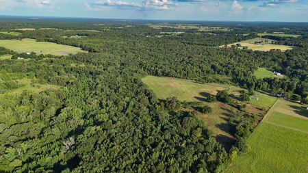 ± 40 Acres Winnsboro - Wood County East Texas Hunt, Build, Farm - image 6