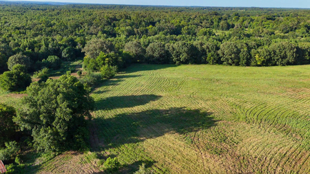± 40 Acres Winnsboro - Wood County East Texas Hunt, Build, Farm - image 12
