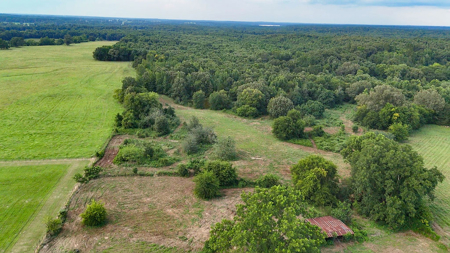 ± 40 Acres Winnsboro - Wood County East Texas Hunt, Build, Farm - image 25