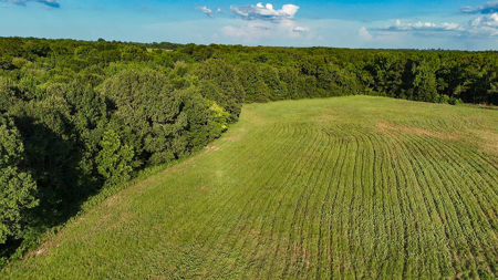 ± 40 Acres Winnsboro - Wood County East Texas Hunt, Build, Farm - image 8