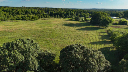 ± 40 Acres Winnsboro - Wood County East Texas Hunt, Build, Farm - image 9