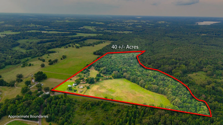 ± 40 Acres Winnsboro - Wood County East Texas Hunt, Build, Farm - image 14