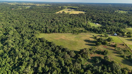 ± 40 Acres Winnsboro - Wood County East Texas Hunt, Build, Farm - image 7