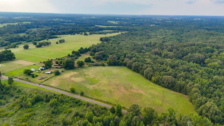± 40 Acres Winnsboro - Wood County East Texas Hunt, Build, Farm - image 23