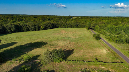 ± 40 Acres Winnsboro - Wood County East Texas Hunt, Build, Farm - image 11
