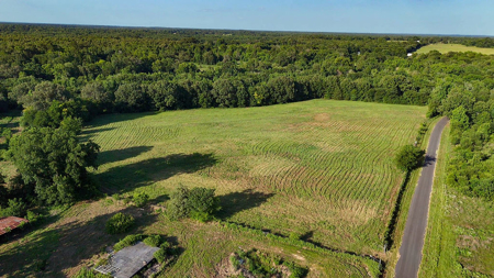± 40 Acres Winnsboro - Wood County East Texas Hunt, Build, Farm - image 3
