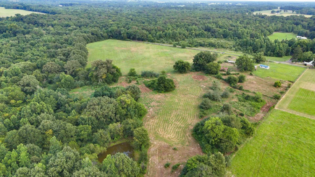 ± 40 Acres Winnsboro - Wood County East Texas Hunt, Build, Farm - image 28
