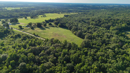 ± 40 Acres Winnsboro - Wood County East Texas Hunt, Build, Farm - image 13