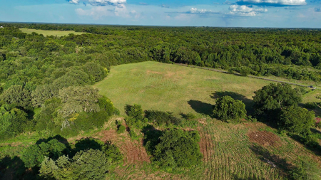 ± 40 Acres Winnsboro - Wood County East Texas Hunt, Build, Farm - image 4