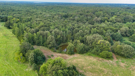 ± 40 Acres Winnsboro - Wood County East Texas Hunt, Build, Farm - image 26