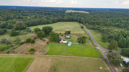 ± 40 Acres Winnsboro - Wood County East Texas Hunt, Build, Farm - image 18