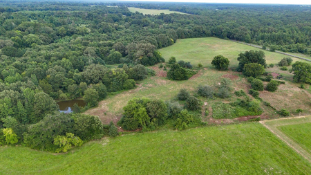 ± 40 Acres Winnsboro - Wood County East Texas Hunt, Build, Farm - image 27
