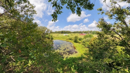 Hobby Farm and Renovated Home | Pomona, Missouri - image 45