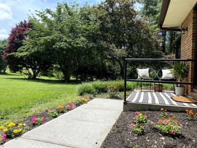 Newly Remodeled Home for Sale In Pilot, VA - image 4