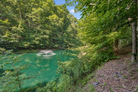 Country Home for Sale in Maury County, Tennessee - image 32