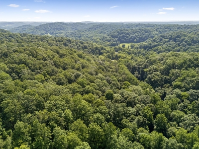 Country Home for Sale in Maury County, Tennessee - image 42