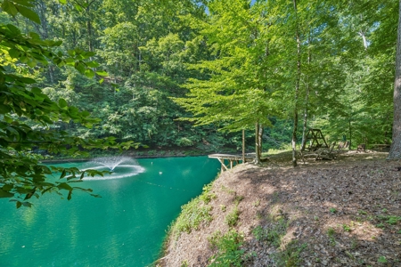 Country Home for Sale in Maury County, Tennessee - image 33