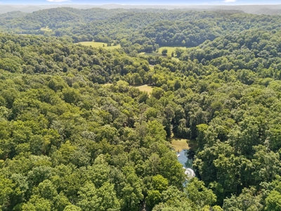 Country Home for Sale in Maury County, Tennessee - image 41