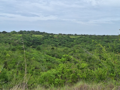 Development Lot Near the Beach Piedras Gordas | Near Playa Blanca - image 2