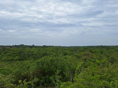 Development Lot Near the Beach Piedras Gordas | Near Playa Blanca - image 1