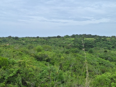 Development Lot Near the Beach Piedras Gordas | Near Playa Blanca - image 5