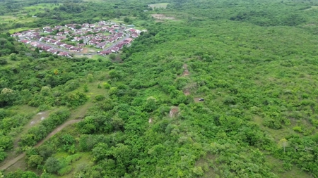 Development Lot Near the Beach Piedras Gordas | Near Playa Blanca - image 15