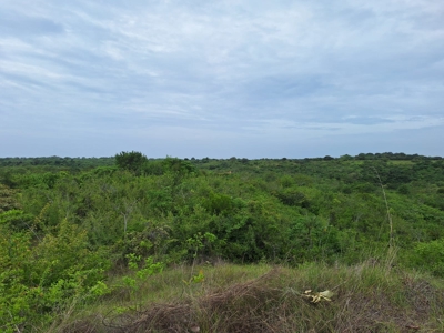 Development Lot Near the Beach Piedras Gordas | Near Playa Blanca - image 3
